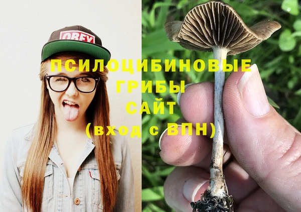 ALPHA PVP Богданович