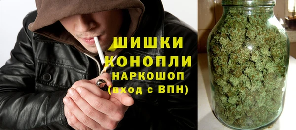 PSILOCYBIN Богородск