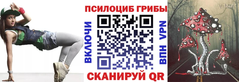 Псилоцибиновые грибы ЛСД  купить закладку  Вилючинск 